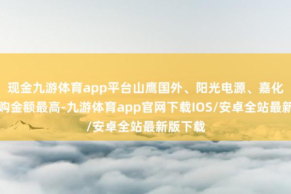 现金九游体育app平台山鹰国外、阳光电源、嘉化动力回购金额最高-九游体育app官网下载IOS/安卓全站最新版下载