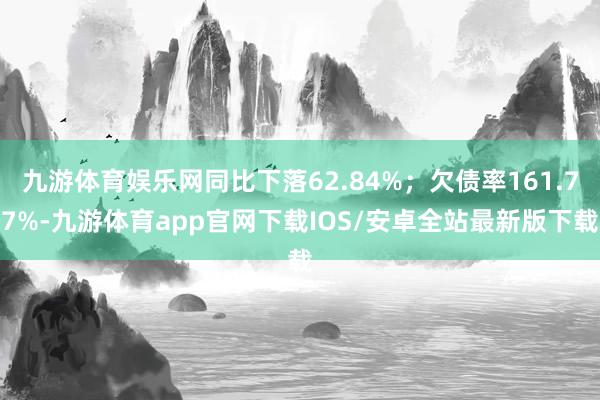 九游体育娱乐网同比下落62.84%；欠债率161.77%-九游体育app官网下载IOS/安卓全站最新版下载