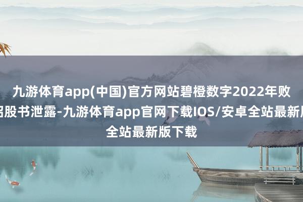 九游体育app(中国)官方网站碧橙数字2022年败露的招股书泄露-九游体育app官网下载IOS/安卓全站最新版下载